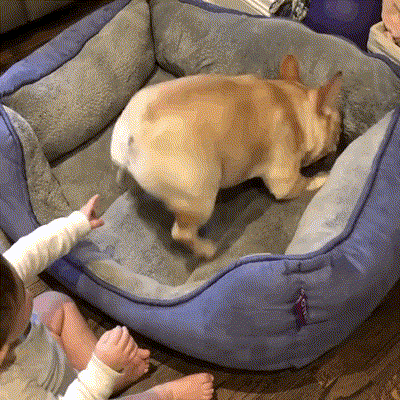 b934ef147af9da37bb1f2a3a0b4a2591