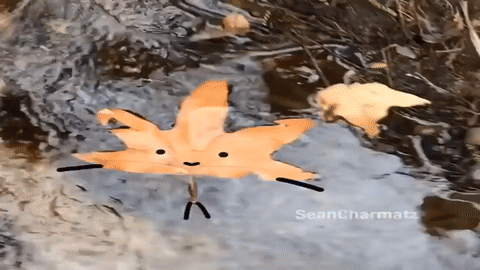 ezgif.com-video-to-gif (5)