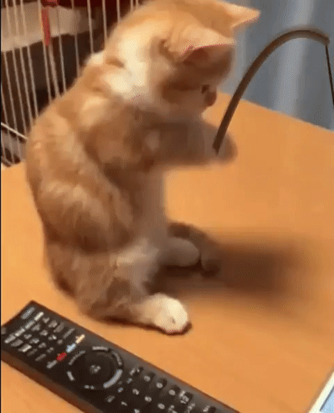 ezgif.com-video-to-gif (25)