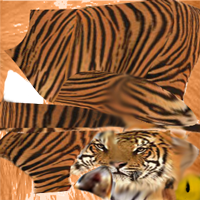 кошка черная