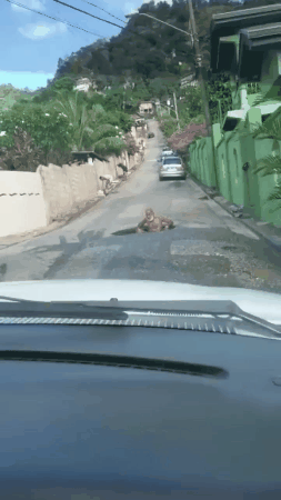 videotogif_2018.05.16_16.58.32