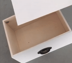 ezgifcom-crop-1526153314