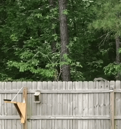 Защита от белочки