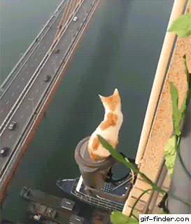 6f9d2e54dc4675c2c7a0b45f8031da00