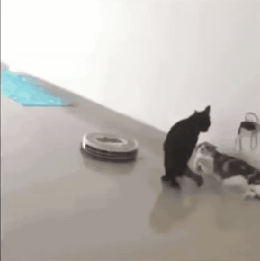 videotogif_2018.05.24_22.42.48