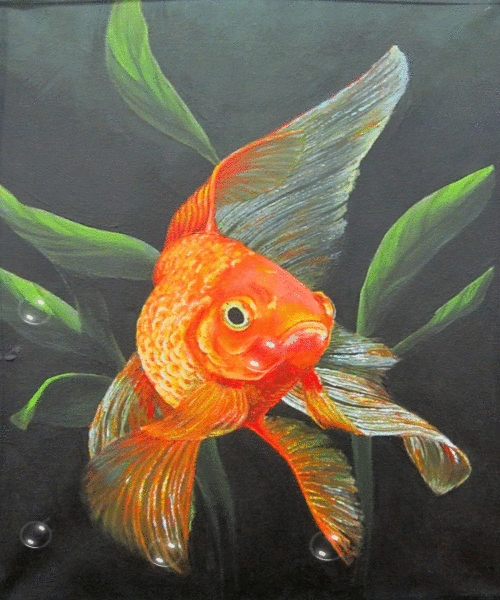 золотая рыбка