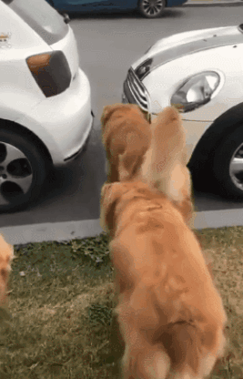 6adc108fly1fphzr6pczeg207f0bkx6s