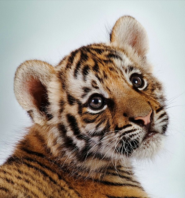 IMG_20180531_131215_114