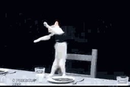 38c9ac460101f15cb6f908c93e3ed9e1