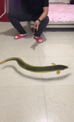 1 (14)