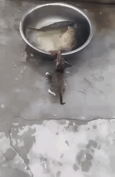 9e91b58d5c937ab-a-nw-p