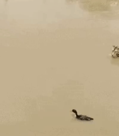 Хрен ты угадал