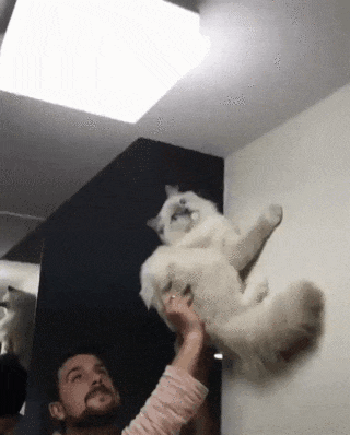 Моя команда по спасению мира