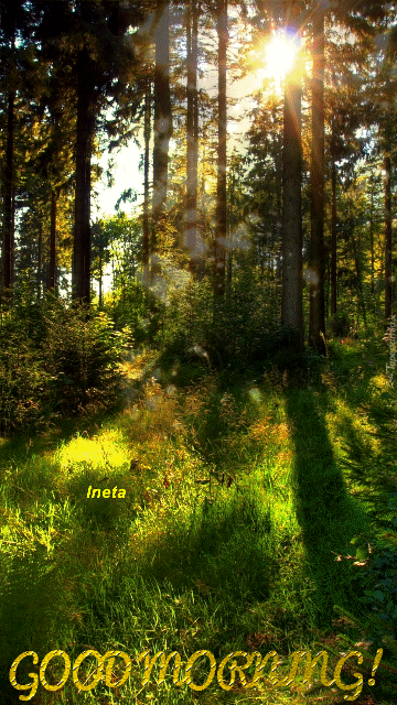 152837713761264945 (1)