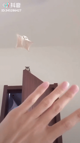 9b07c726d65c5e5-a-nw-p