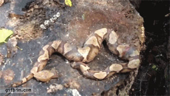 766fef6b90cbf6257b4675f005a888b8