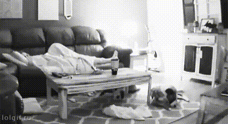 987c2f566a146c44fbbc