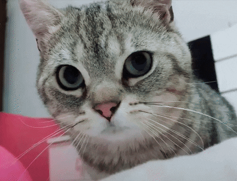 de6c105e2f012117ff63321a3d05896d