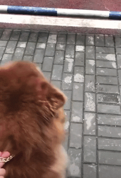 8d2e6cfcd3baa77dcb1d22879109b163