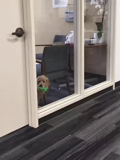 Поиграть охота