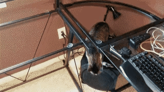 Столешница