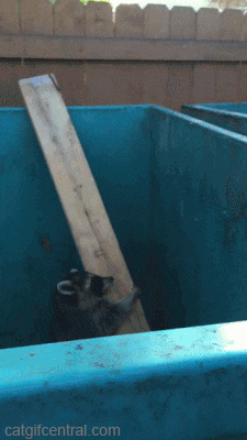 7dca818625ea91940f461d250aefd475_yapfiles.ru_yapfiles.ru