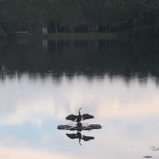 фонтан убийца