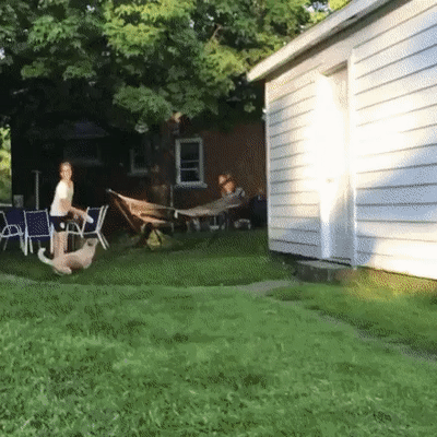 ezgif.com-video-to-gif