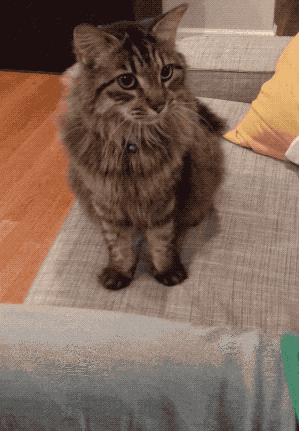 7e6154aad8bf5b39596877a49842b64a