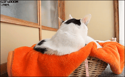 2987d590e809d0554b9d66044d3a13ec