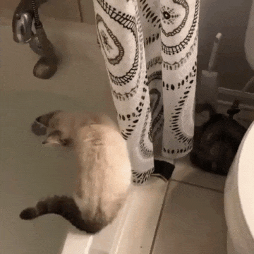 9dd7a87a55eec377cb6d8709f6127a8b