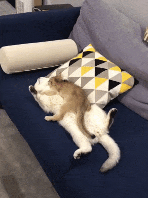 5df709e9a1b2c5f52ad3f953794371c2