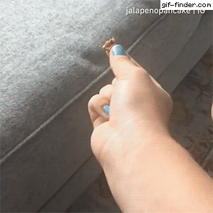 2bc840a719036af0f8b4ff5bc41e730d