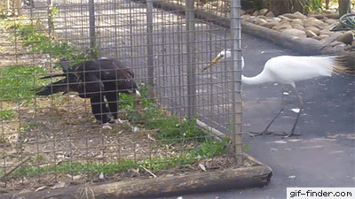 6289ac2ff081cab2ff6300f03e308e5b