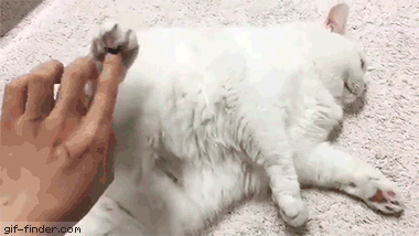 a36f1fd78bd49f89e3fece0a573131d8