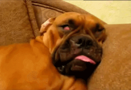 af0995777378dcc1a30a147ba5fa161c5bfe74f020fa1d9b30d88572e5605c34_1