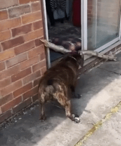 Дрова нужны?