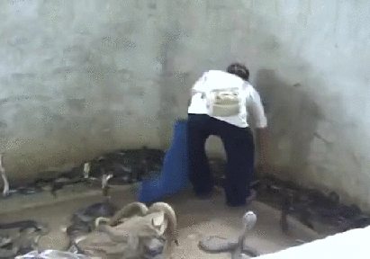 Шнурок получил от бати