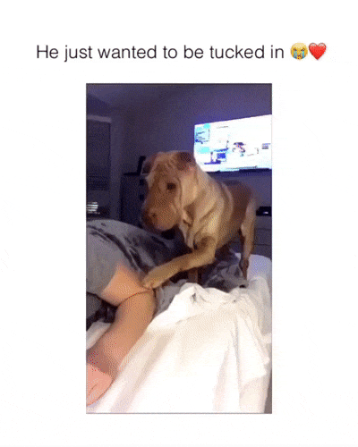 Пусти погреться