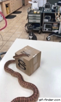 8c1a420bfc4c57bfab1f41dccf304787