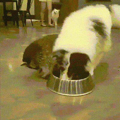 6c1e3ba37e790cbd234bbfe723c1d592