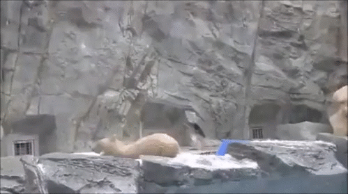 f440dfd5aa2567d80bb49fed47a184fa