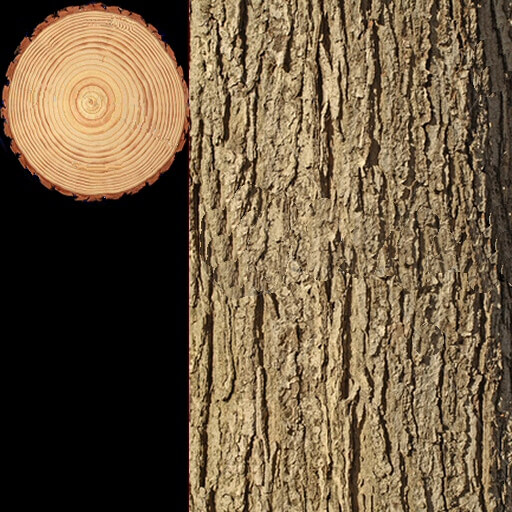log1