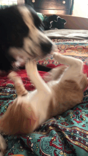 Им никогда не будет скучно вдвоем