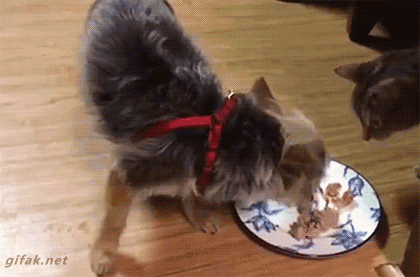 Не трогай моё!