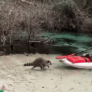 Слышь красавица поживится есть чем