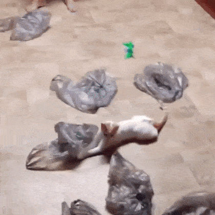 BumazhnySamoletik (2)