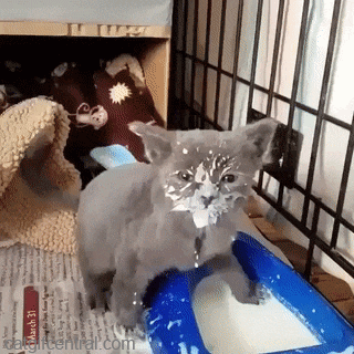 cb7f1c3732ac50b419ce1bb719b807f3