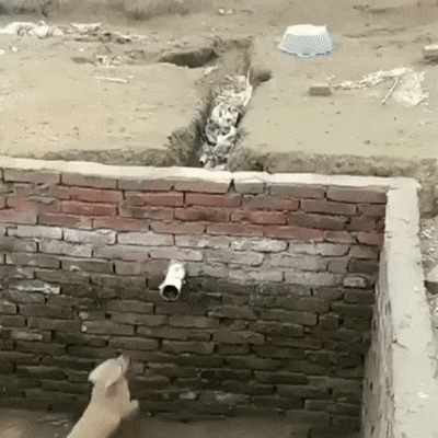 f4e9a3d8058827d456094b98c6f2ddca