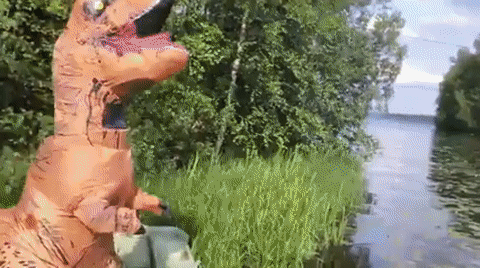 ezgifcom-video-to-gif-7-1528921210